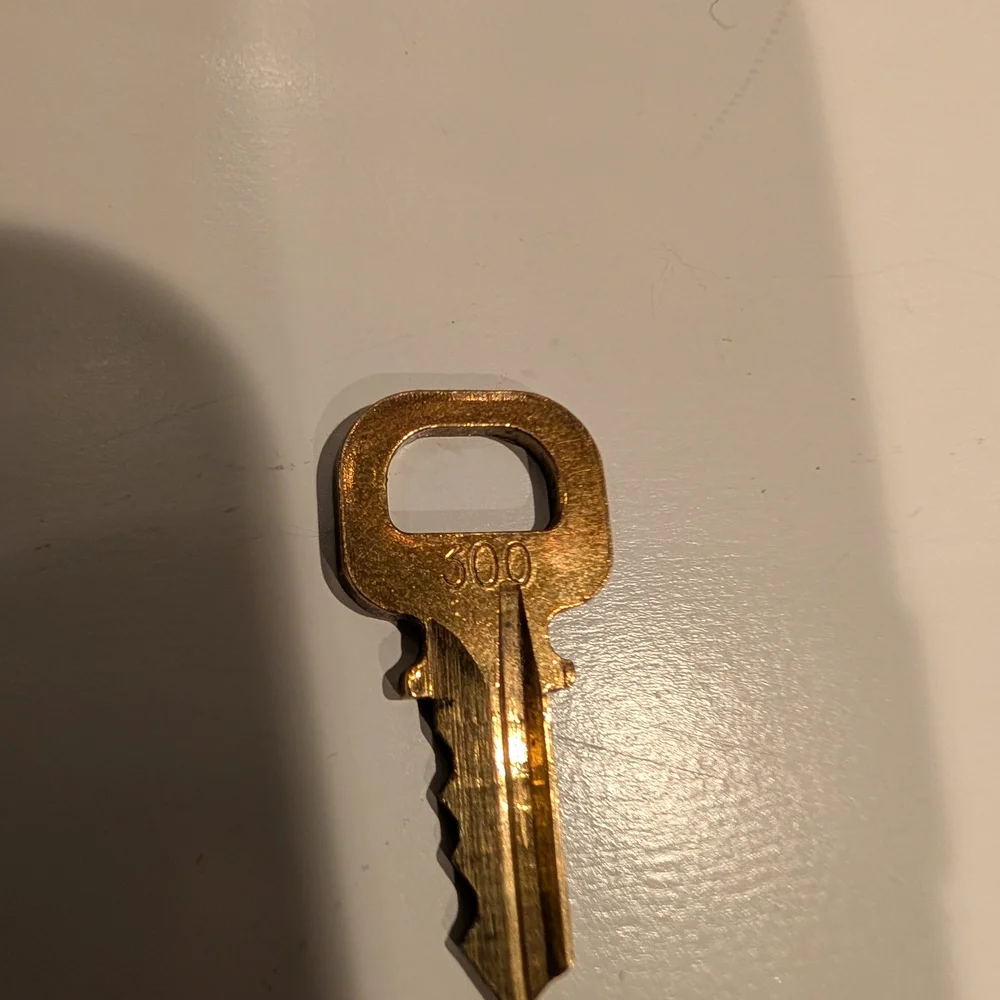 Louis Vuitton #300 Lock and Key